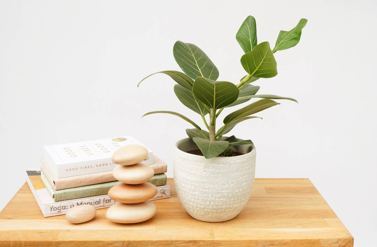 SUCK UK Ltd - USA | Balance | Relaxing wooden stacking stones