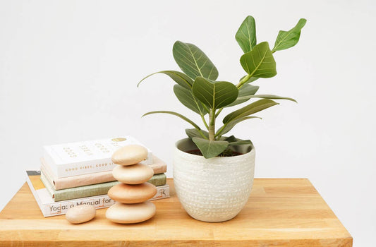 SUCK UK Ltd - USA | Balance | Relaxing wooden stacking stones
