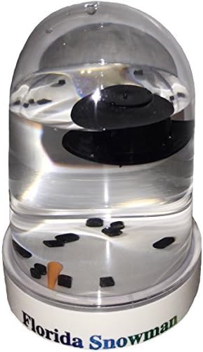 Florida Snowman | Snow Globe