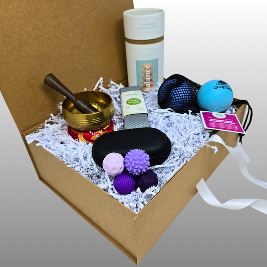 Sensory Wellness Kit