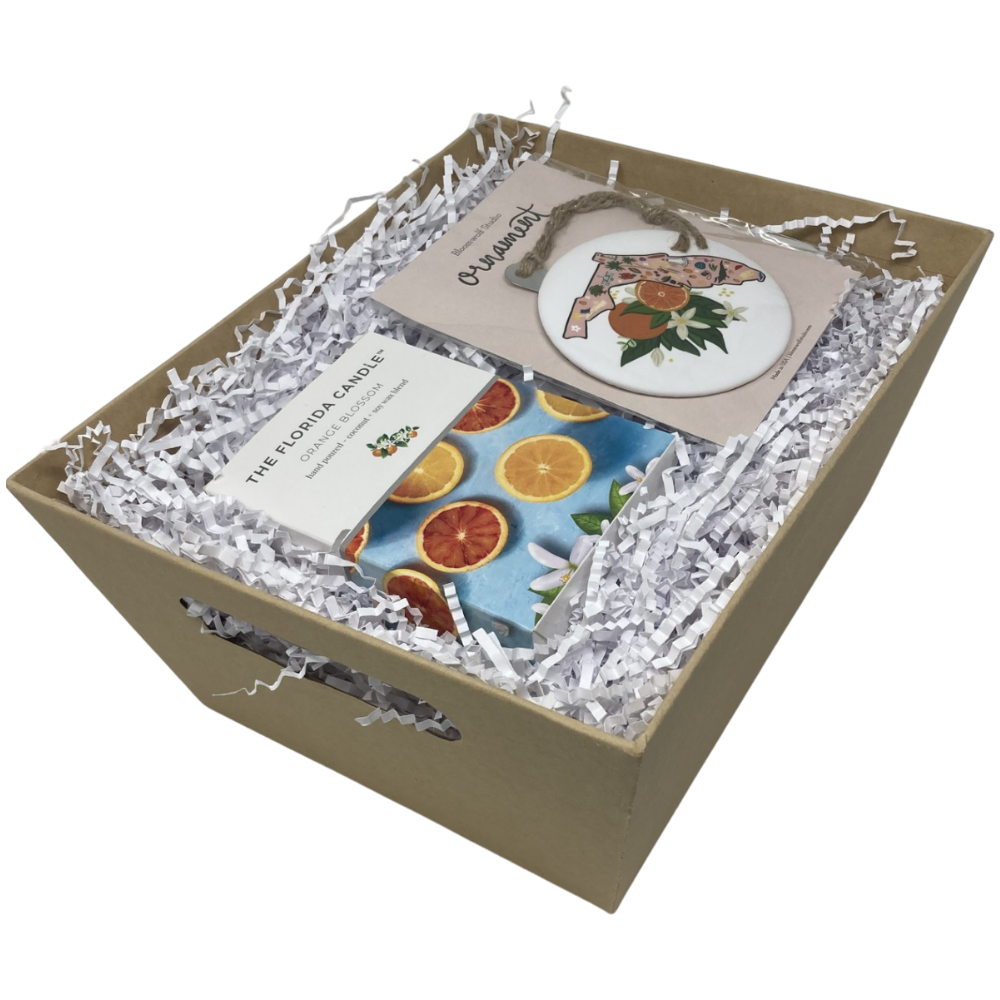 Florida Christmas Mini